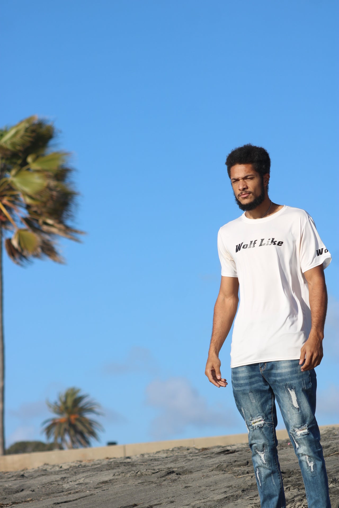 WolfMode T-Shirt