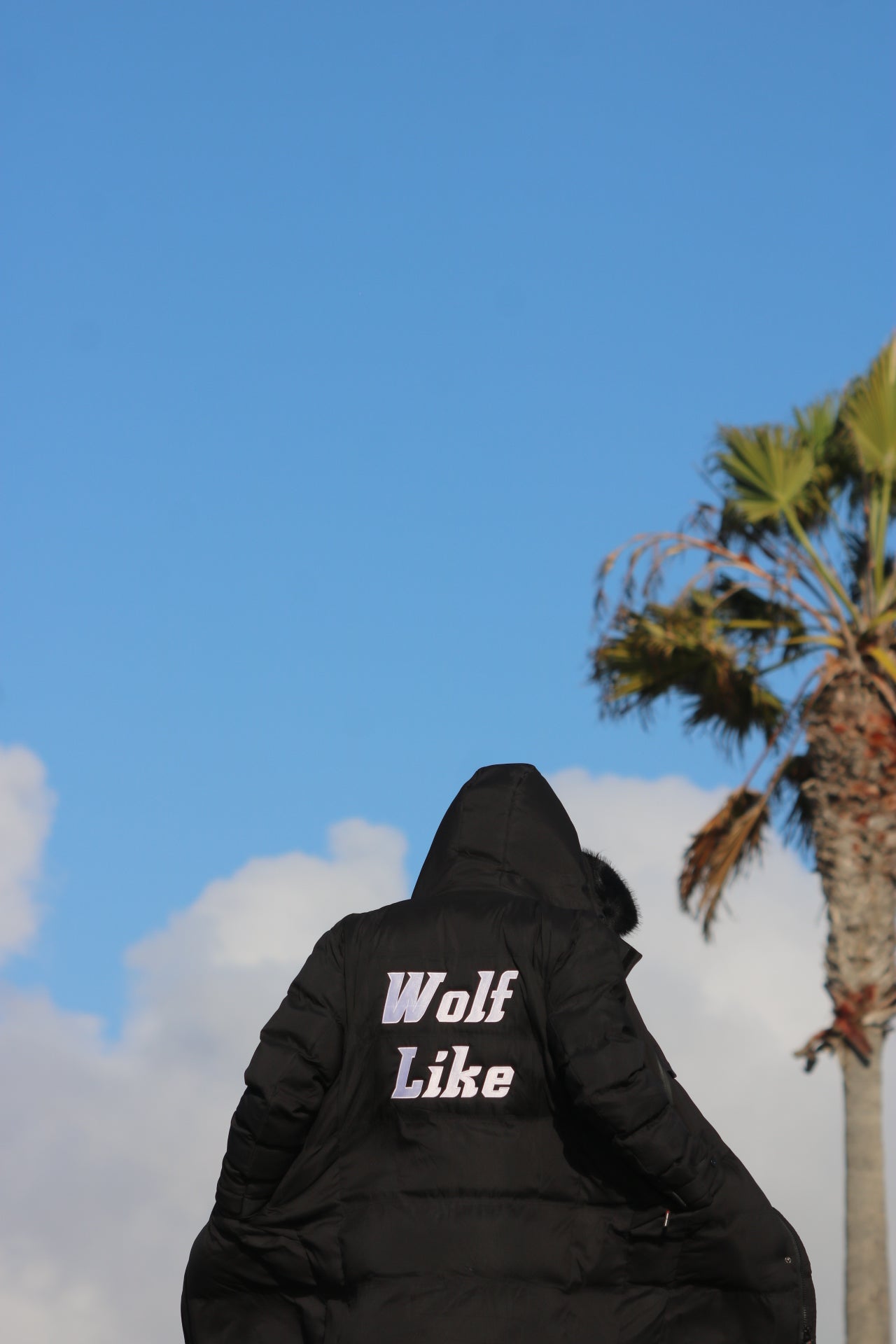 Alpha Winter Jacket