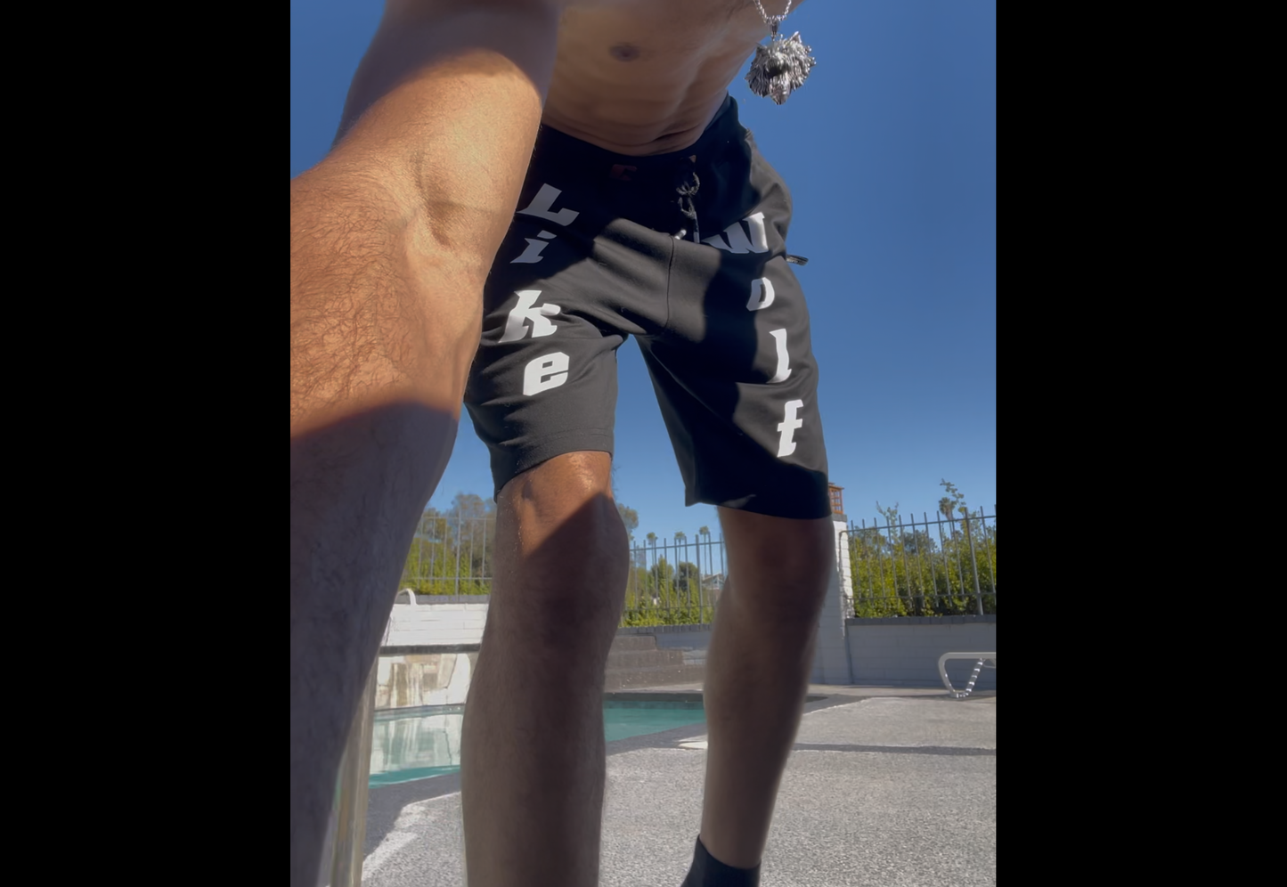 InstinctFit Shorts