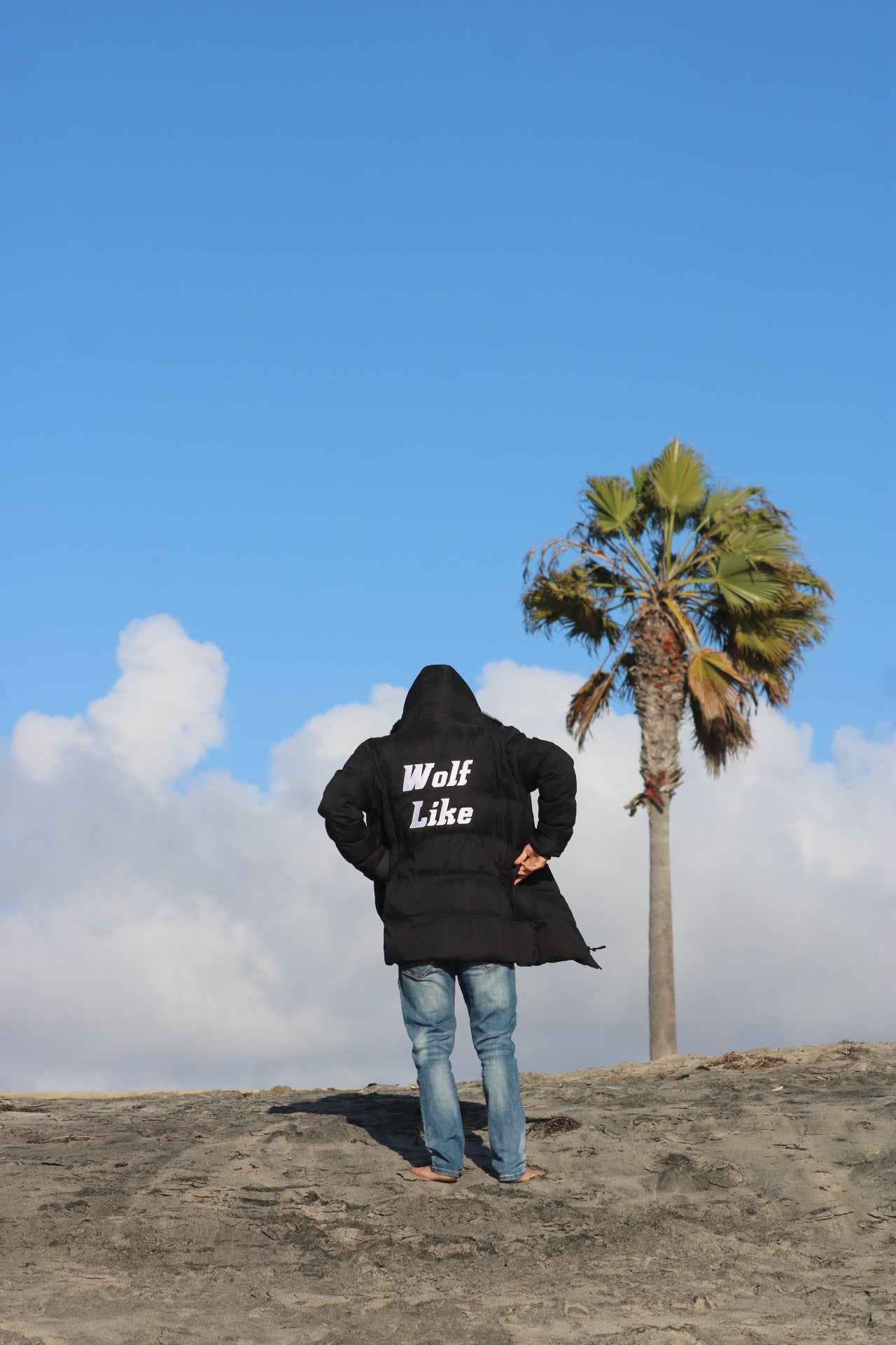 Alpha Winter Jacket
